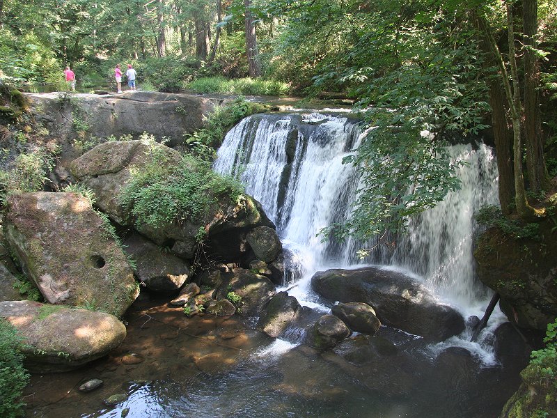 Whatcom Falls